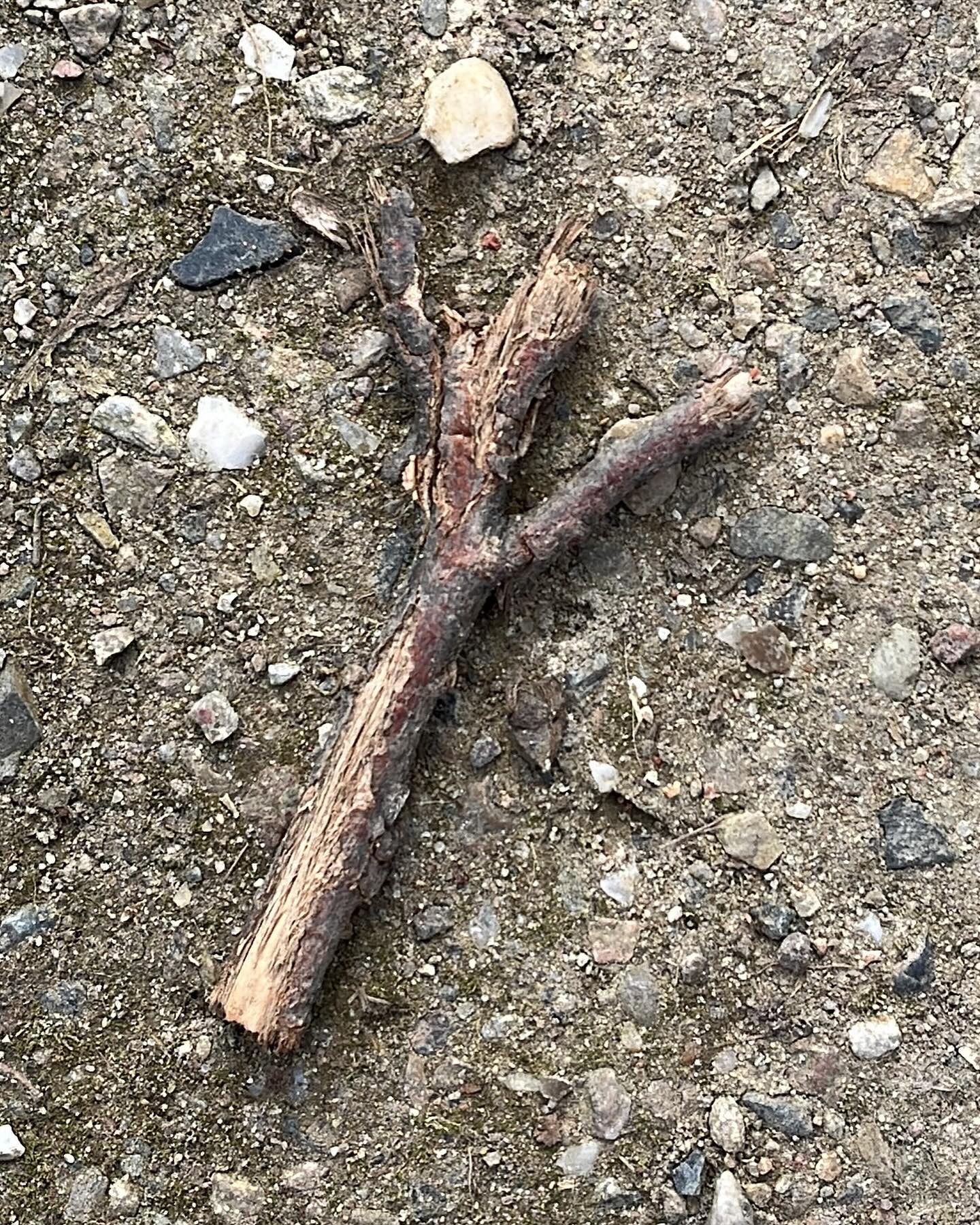 Hexenwissen Runen Futhark