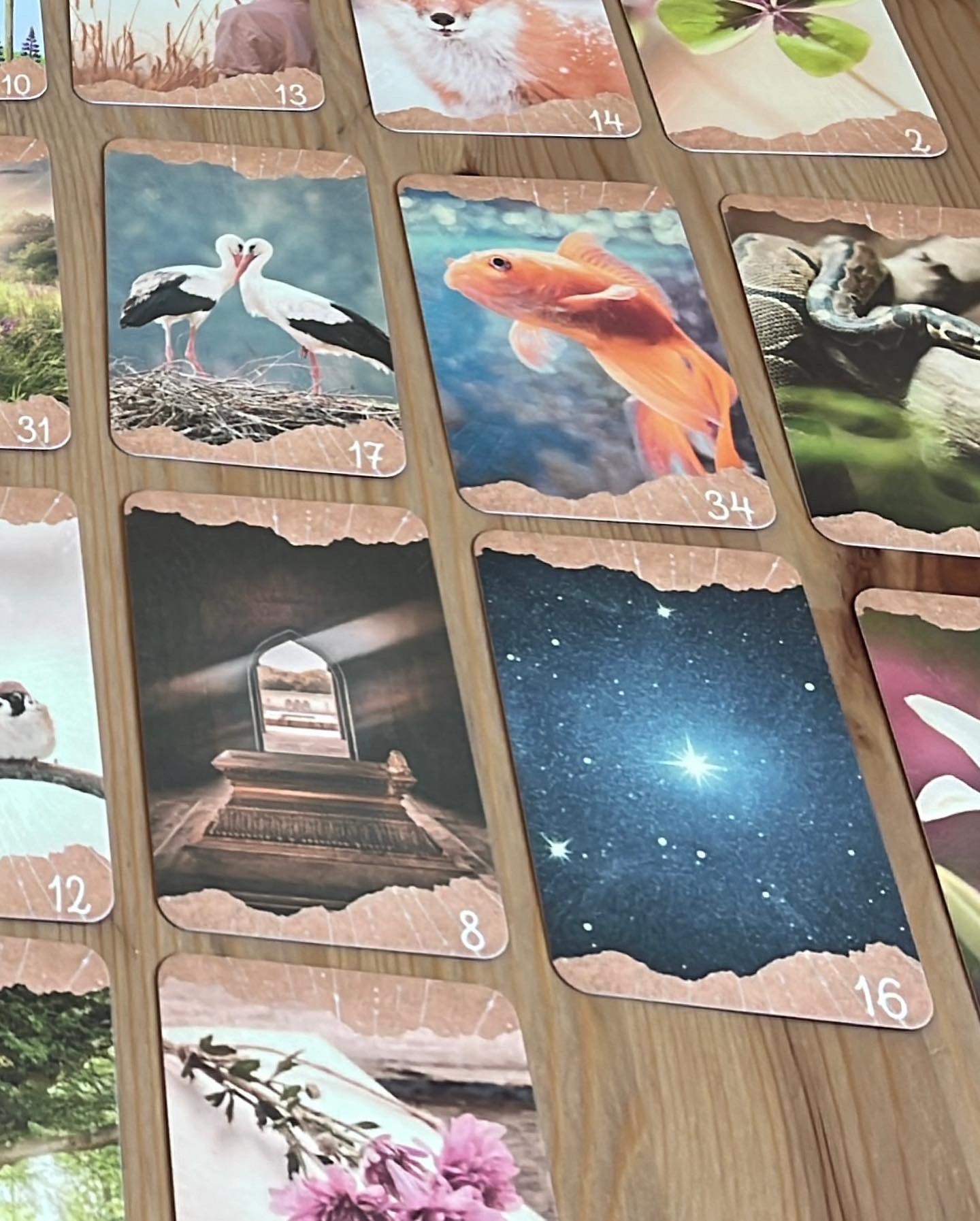Lenormand Kartenset von Hippiehexe Stephie