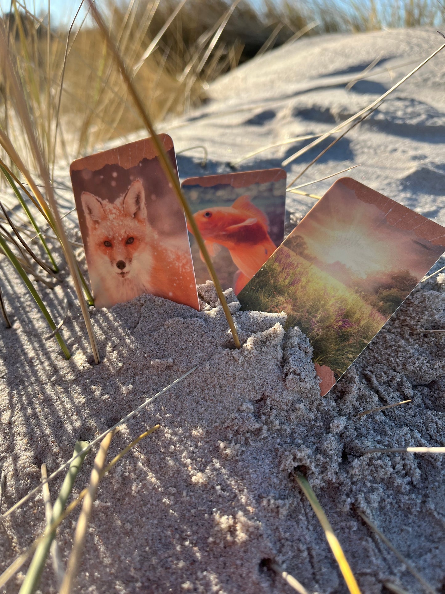 Lenormand Kartenset von Hippiehexe Stephie